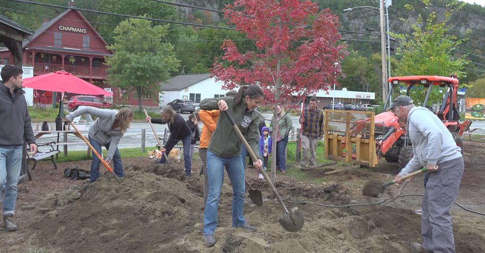 A group of people young and old, planting trees in the area in front of Chapman's Elixirs.